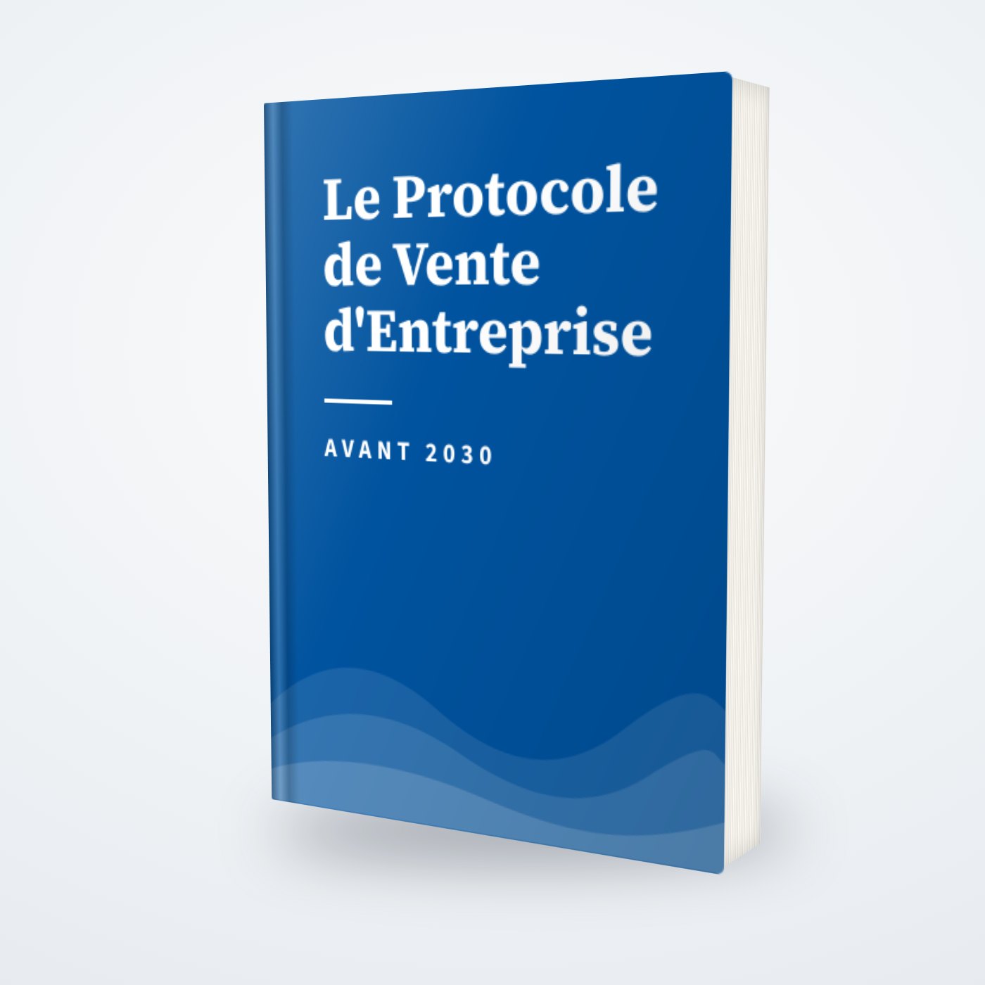 Le livre «&nbsp;Le Protocole de Vente d'Entreprise avant 2030&nbsp;».